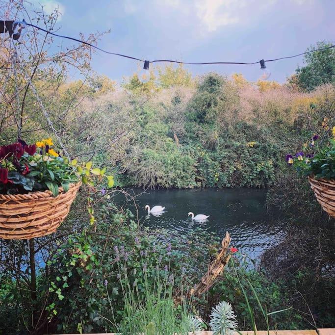 Canal View 2 Bedrooms End Of Terrace Chichester Dış mekan fotoğraf