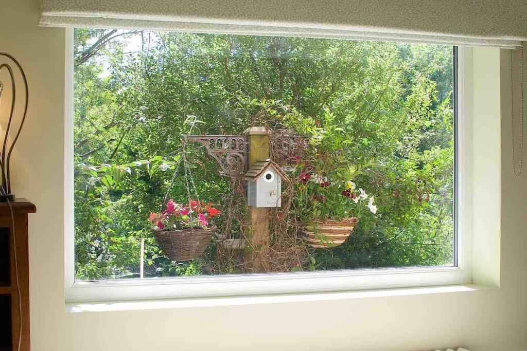 Canal View 2 Bedrooms End Of Terrace Chichester Dış mekan fotoğraf